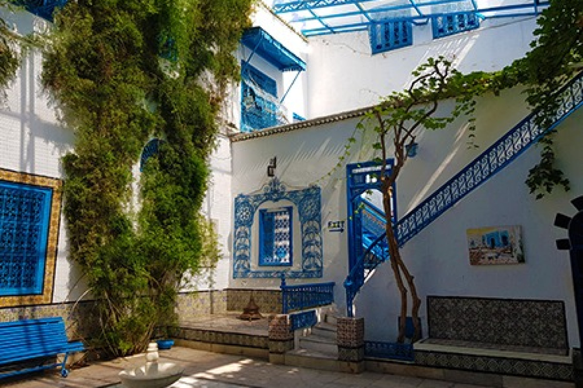  tunisia: mirajul africii de nord | circuit & mini sejur premium tours 2026 1