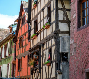 benelux & farmecul alsaciei premium tours 2026 1