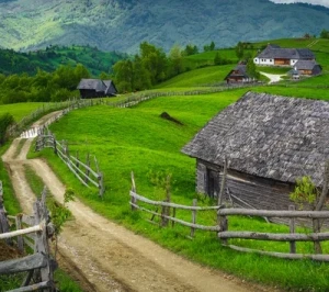 o zi cat o vacanta - bran – festivalul branzei si „ravasitul oilor” 1