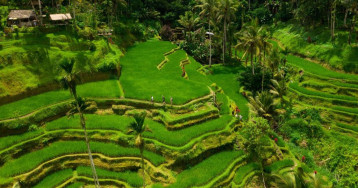 Alila Ubud