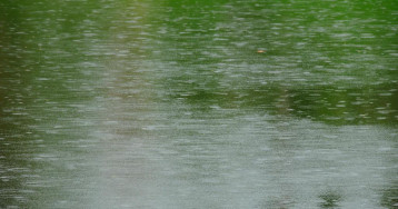 Thaala Bentota (ex. Avani Bentota Resort & Spa)