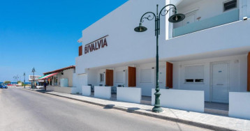 Bivalvia Beach Plus