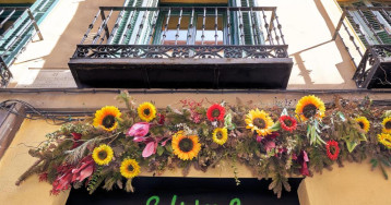 Blume Cruz Apartamentos