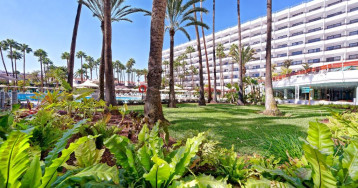 BULL Eugenia Victoria