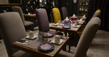 Gatto Bianco Casa dei Venti