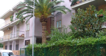 Gatto Bianco Picone 19