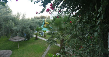 Hammamet Garden Hammamet Garden