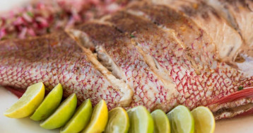 Nungwi Dreams by Mantis