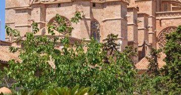 Palacio Ca Sa Galesa