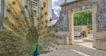 Solar do Castelo - Lisbon Heritage Collection