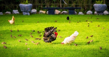 Thavorn Palm Beach Resort Phuket