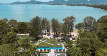 The Mangrove by Blu Monkey