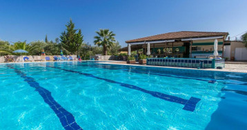 Zante Nest Studios and Apartments