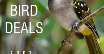 Zanzi Resort Private Paradise