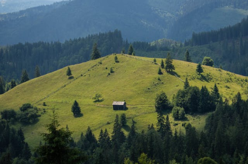 circuit clasic paste in bucovina 4 zile autocar 2026 2