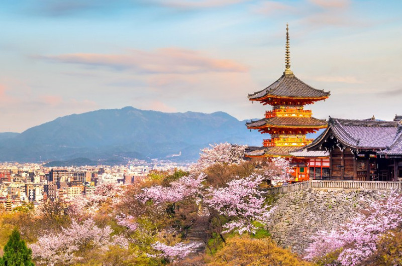 coreea de sud si japonia - sarbatoarea ciresilor in floare - plecare din cluj napoca 27.03.2027 (13 nopti) 2
