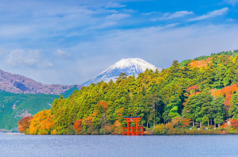 coreea de sud si japonia - sarbatoarea ciresilor in floare - plecare din cluj napoca 27.03.2027 (13 nopti) 3