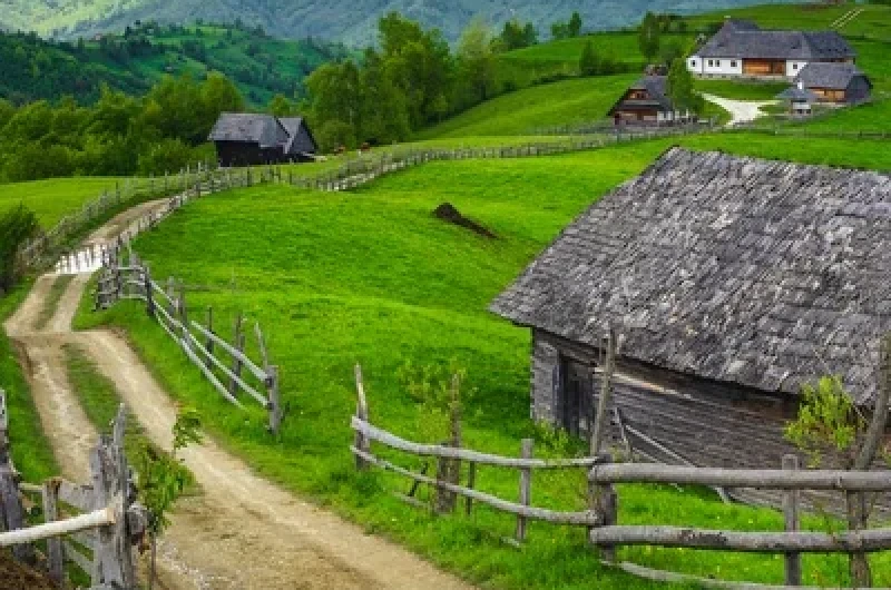 o zi cat o vacanta - bran – festivalul branzei si „ravasitul oilor” 1
