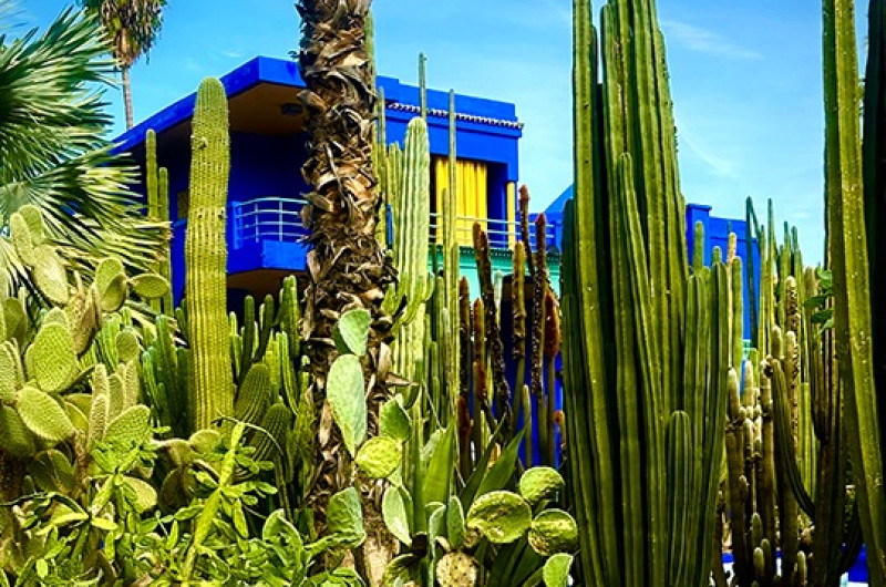 revelion maroc – in ritmul saharei premium tours 2027 6