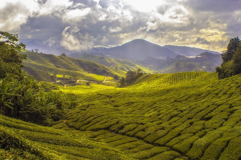 sri lanka - circuit, safari si sejur premium tours 2027 3