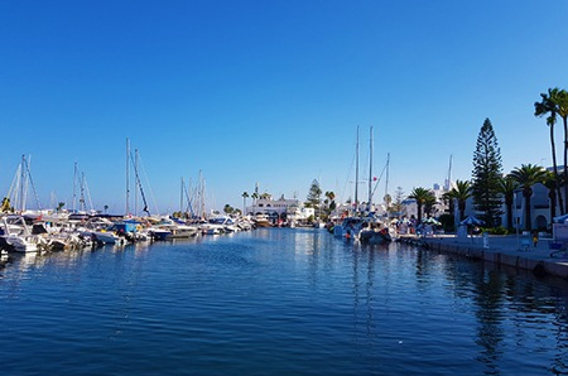  tunisia: mirajul africii de nord | circuit & mini sejur premium tours 2025 1