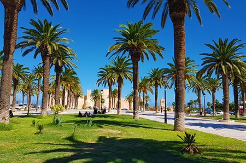  tunisia: mirajul africii de nord | circuit & mini sejur premium tours 2025 10