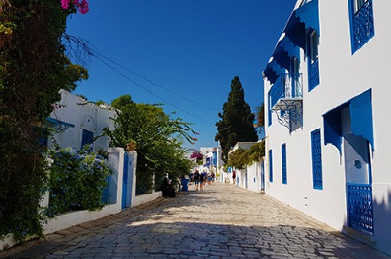  tunisia: mirajul africii de nord | circuit & mini sejur premium tours 2025 4