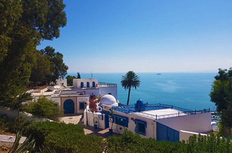  tunisia: mirajul africii de nord | circuit & mini sejur premium tours 2025 5