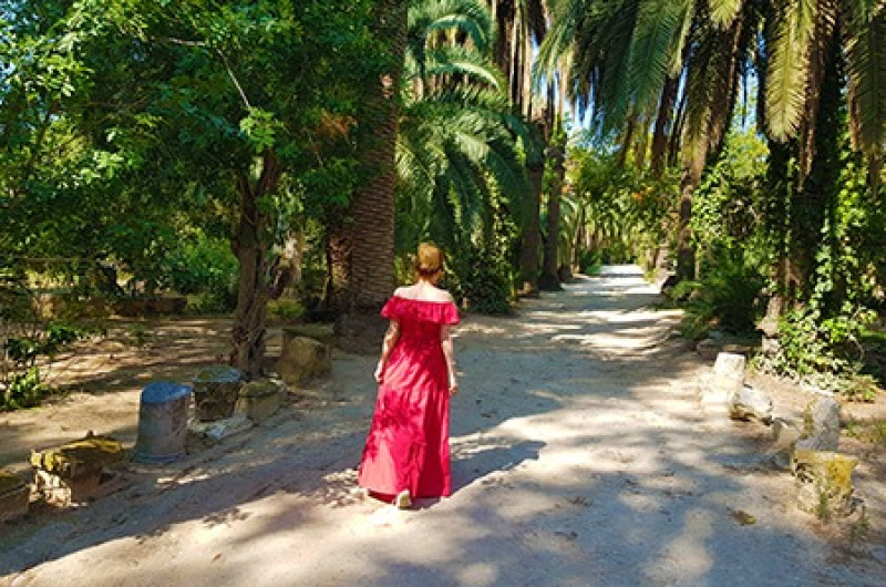  tunisia: mirajul africii de nord | circuit & mini sejur premium tours 2025 7