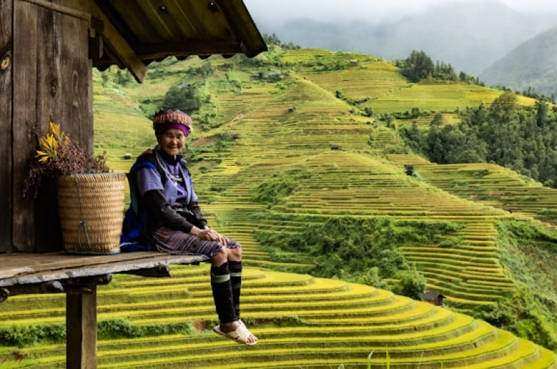 vietnam: drumul dragonului de la nord la sud premium tours 2026 6