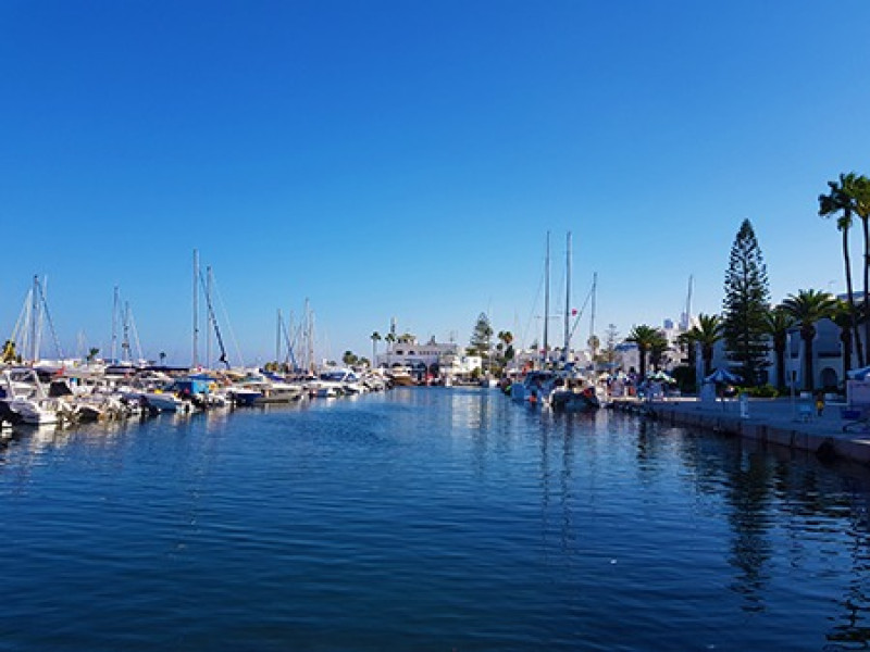  tunisia: mirajul africii de nord | circuit & mini sejur premium tours 2025 1